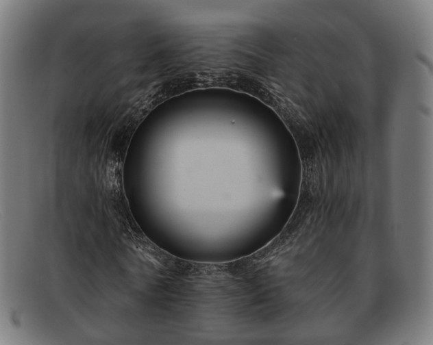 X0000091900770200709121458