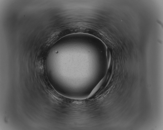 X0000091900771200709121458