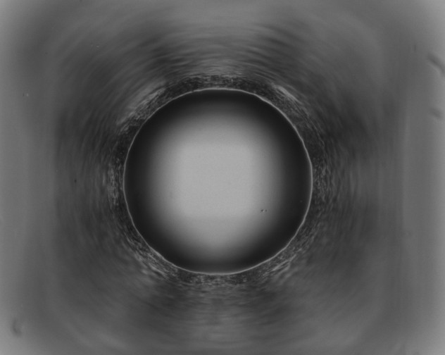 X0000091900774200709121458