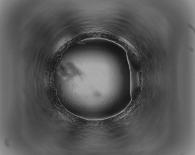 X0000091900775200709121458