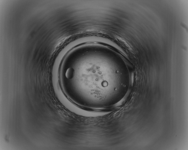 X0000091900776200709121458