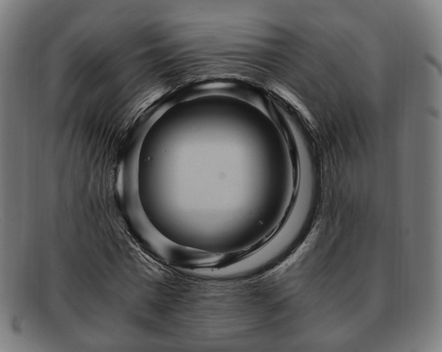 X0000091900777200709121458