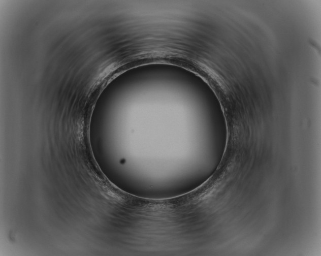 X0000091900778200709121458