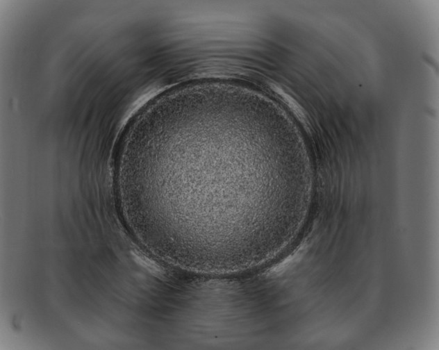 X0000091900779200709121458