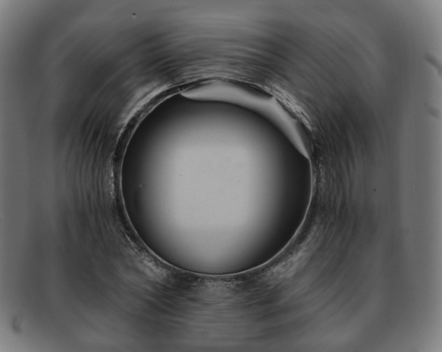 X0000091900782200709121458