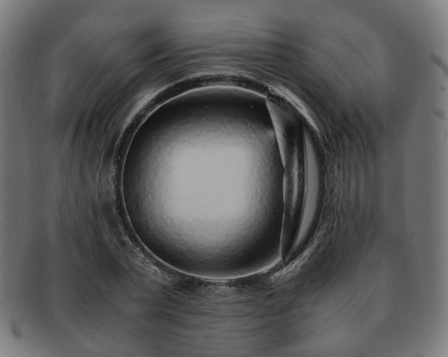 X0000091900783200709121458