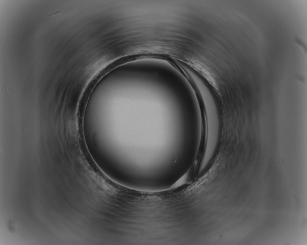 X0000091900784200709121458