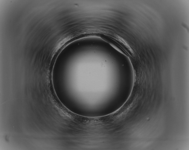 X0000091900786200709121458