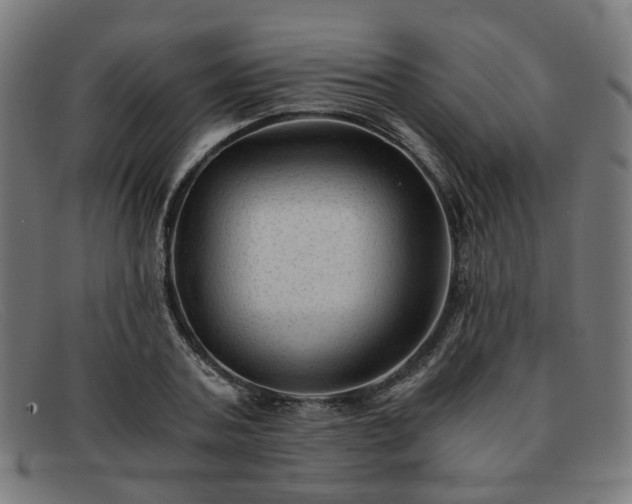 X0000091900787200709121458