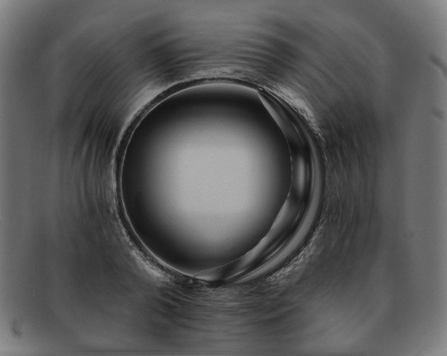 X0000091900792200709121458