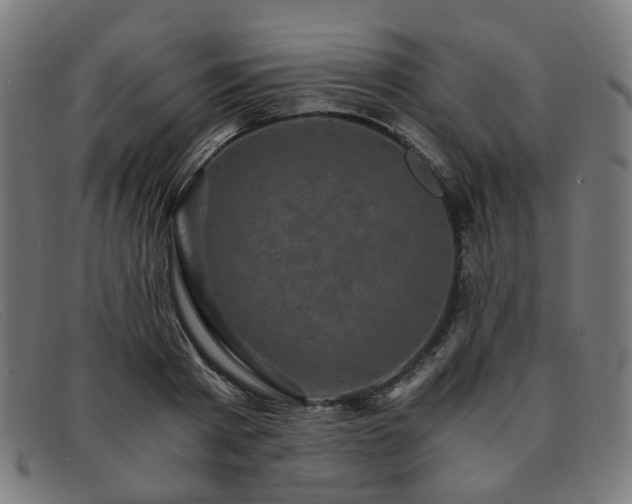 X0000091900793200709121458