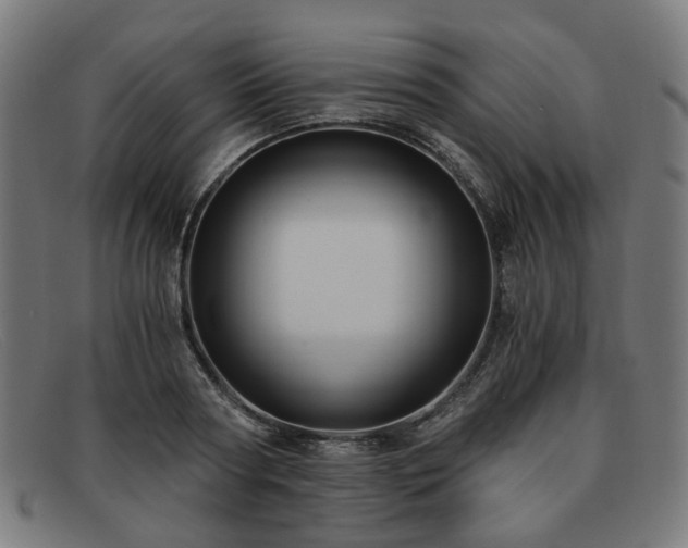 X0000091900794200709121458