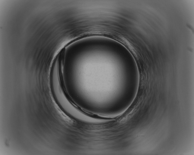 X0000091900795200709121458