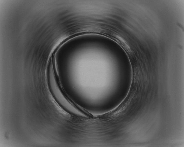 X0000091900796200709121458