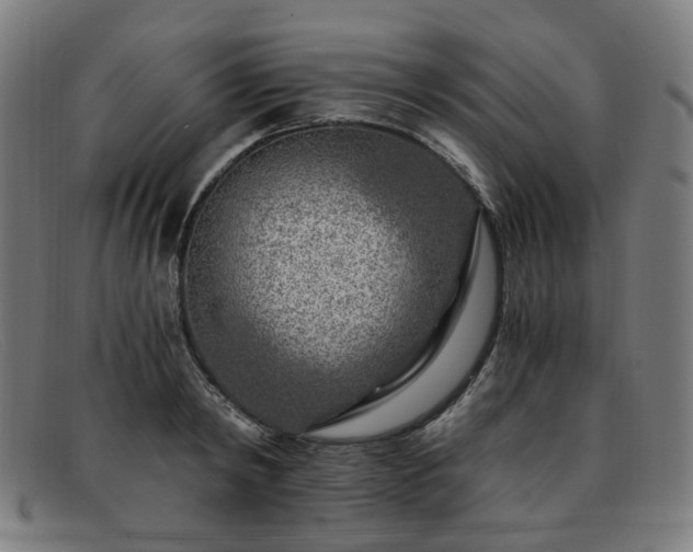 X0000091900798200709121458