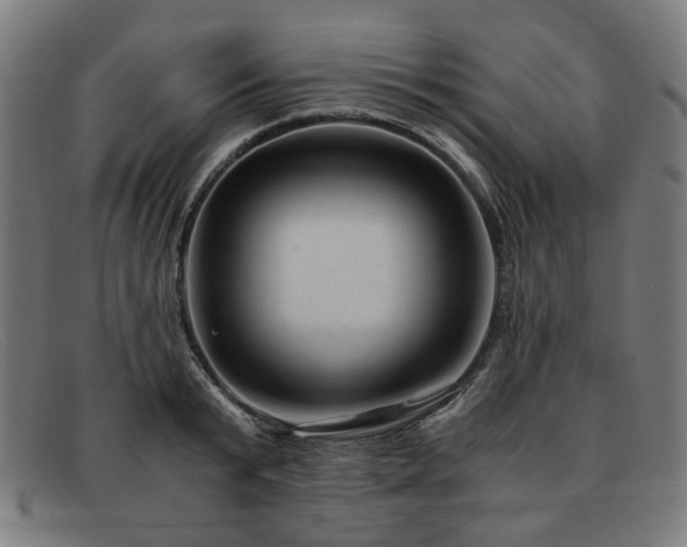 X0000091900799200709121458