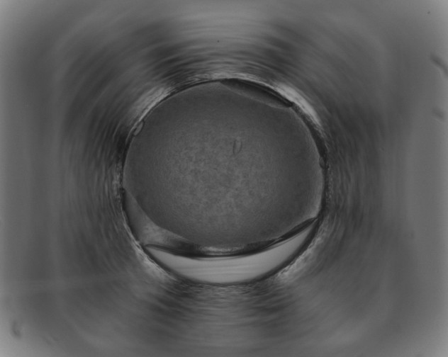 X0000091900801200709121458