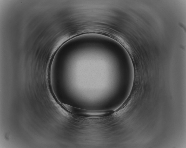 X0000091900803200709121458