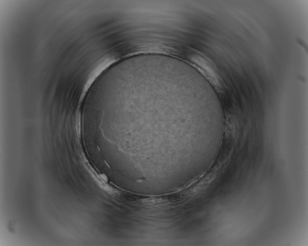 X0000091900804200709121458