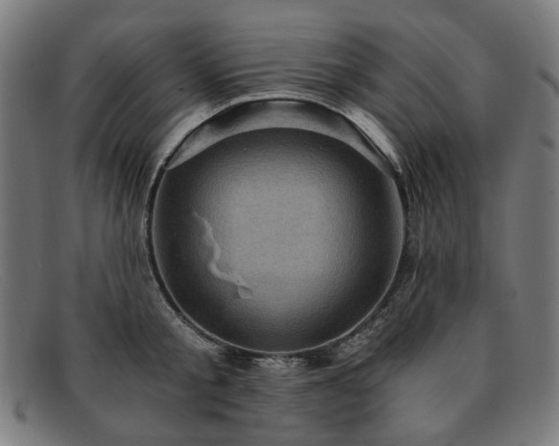 X0000091900805200709121458