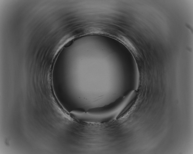 X0000091900806200709121458