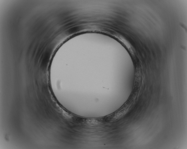 X0000091900807200709121458