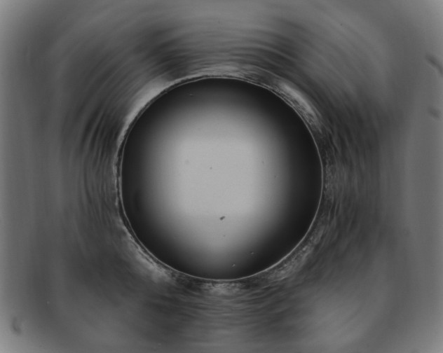 X0000091900808200709121458