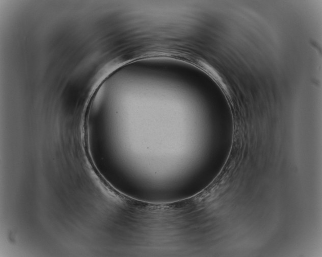 X0000091900811200709121457