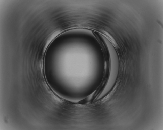 X0000091900812200709121457