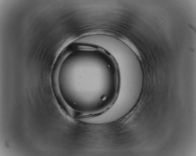 X0000091900813200709121457