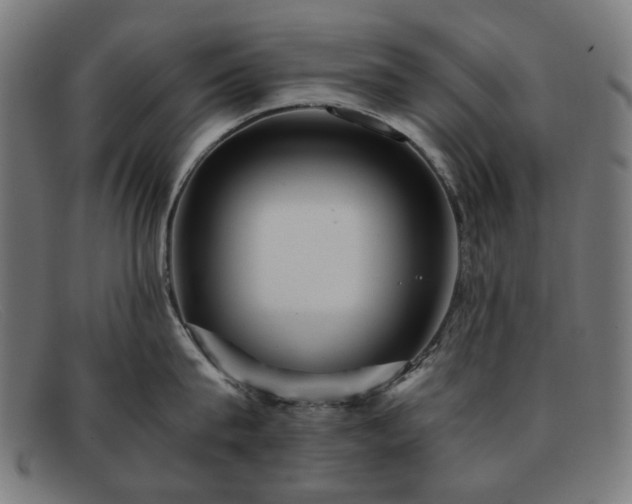 X0000091900815200709121457