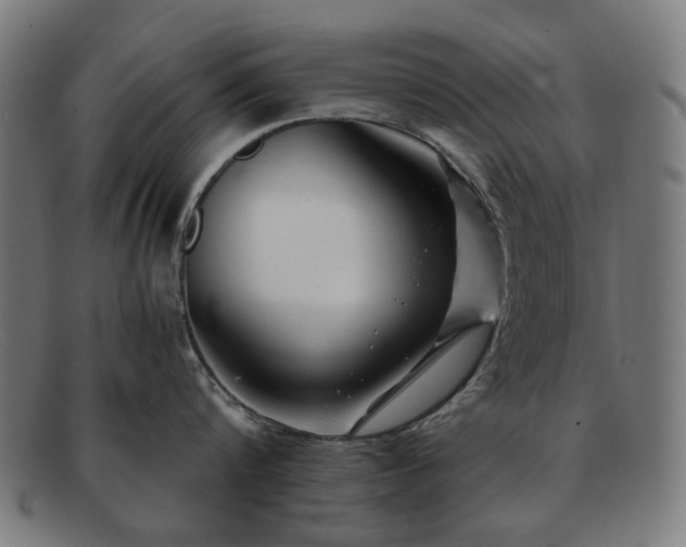 X0000091900816200709121457