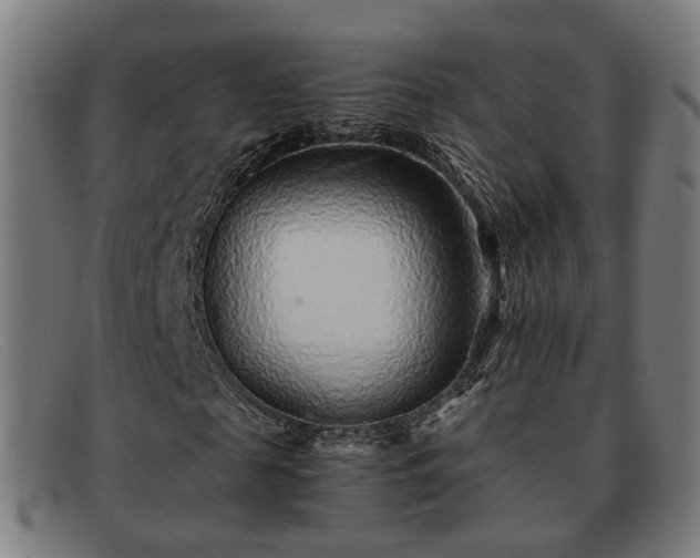 X0000091900817200709121457