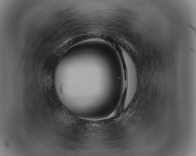 X0000091900821200709121457