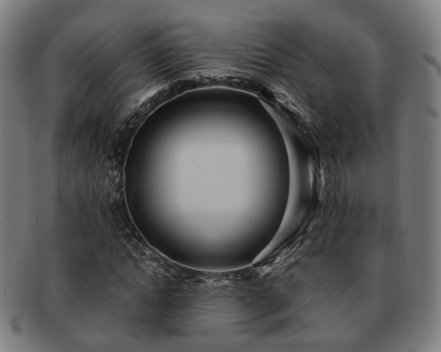 X0000091900822200709121457