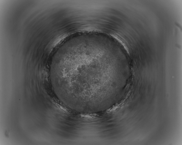 X0000091900823200709121457