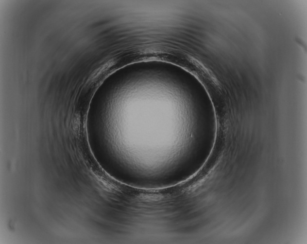 X0000091900825200709121457