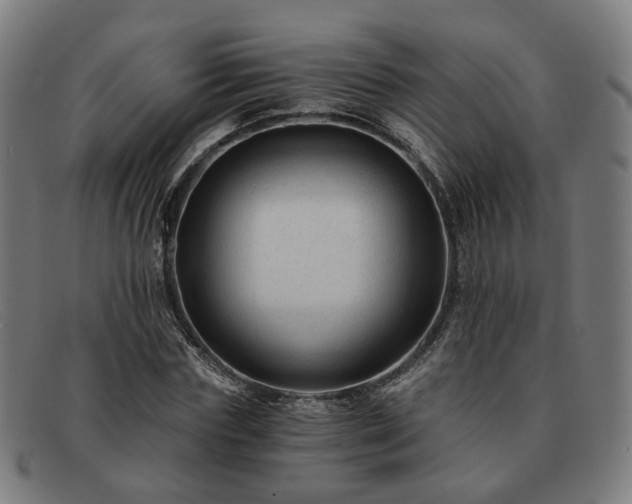 X0000091900827200709121457