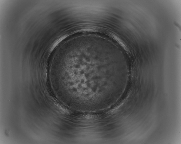 X0000091900829200709121457