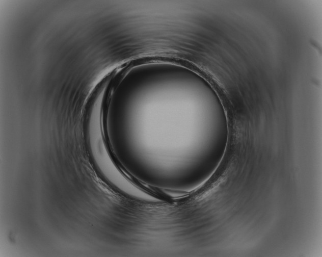 X0000091900830200709121457