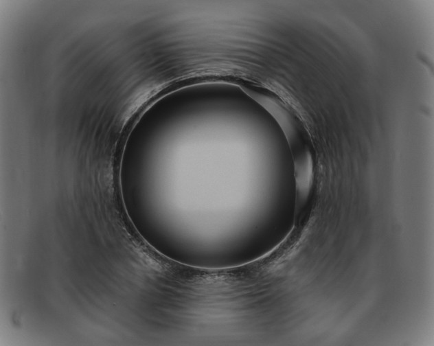 X0000091900834200709121457