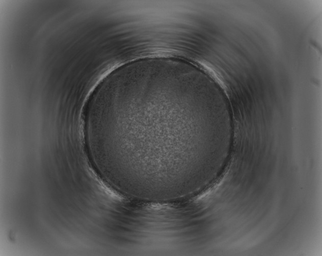 X0000091900835200709121457