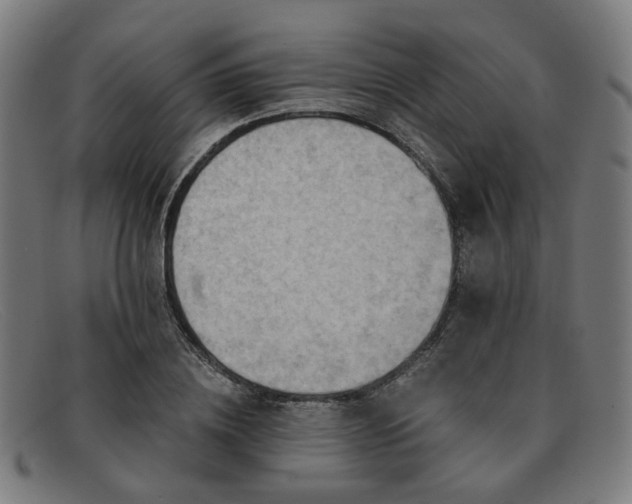 X0000091900836200709121457