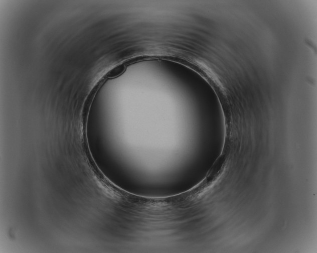 X0000091900837200709121457