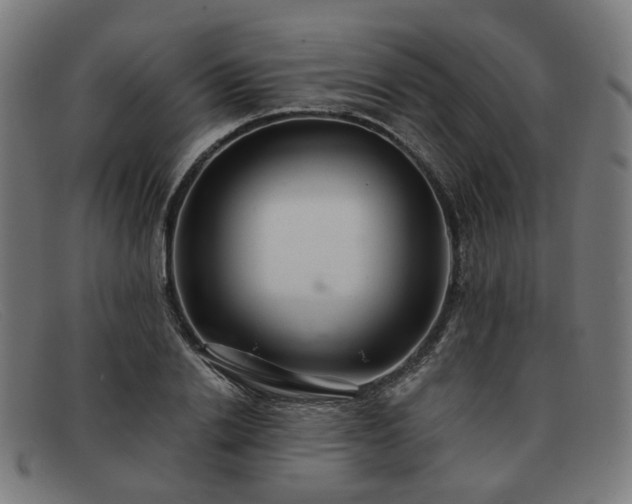 X0000091900838200709121457