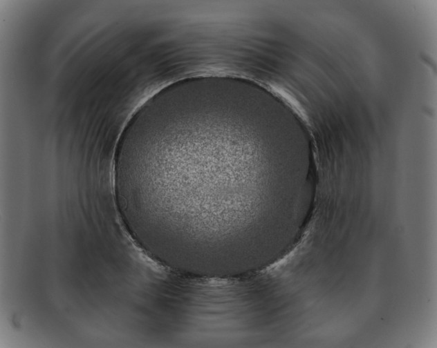 X0000091900839200709121457