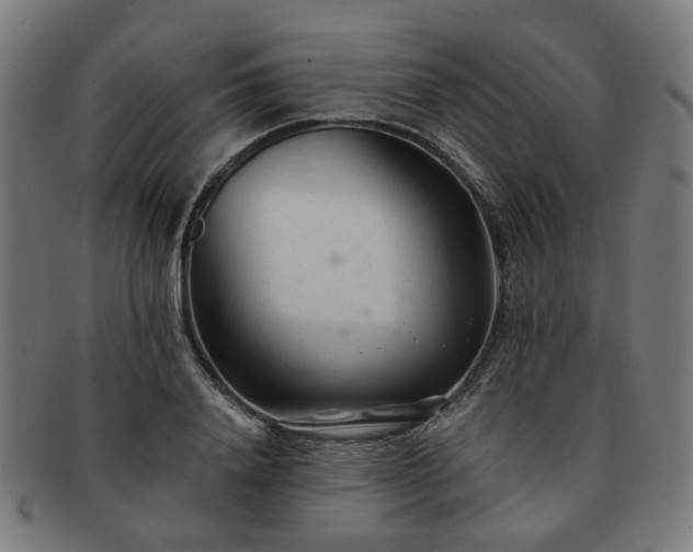 X0000091900840200709121457