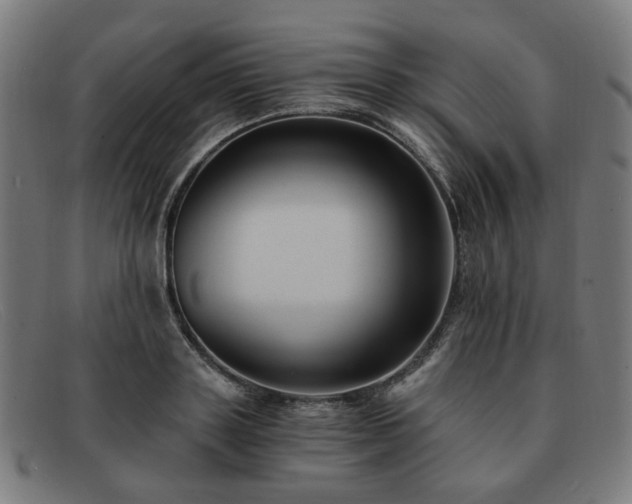 X0000091900843200709121457