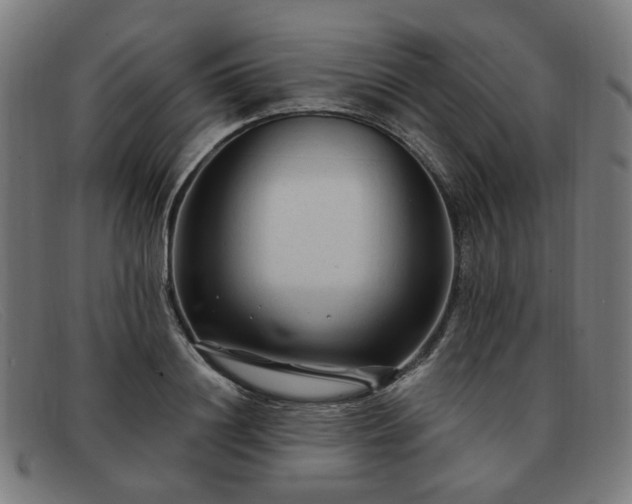 X0000091900844200709121457