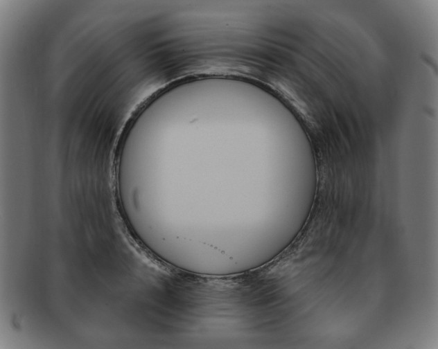 X0000091900848200709121457